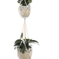 Botanical Hangers