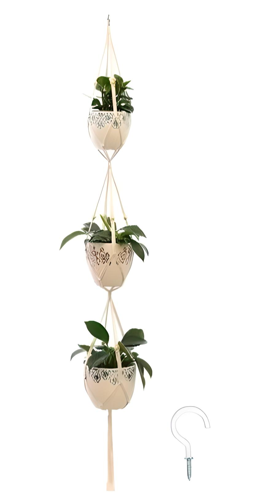 Botanical Hangers